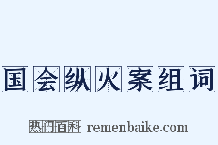 国会纵火案组词是什么意思的图片